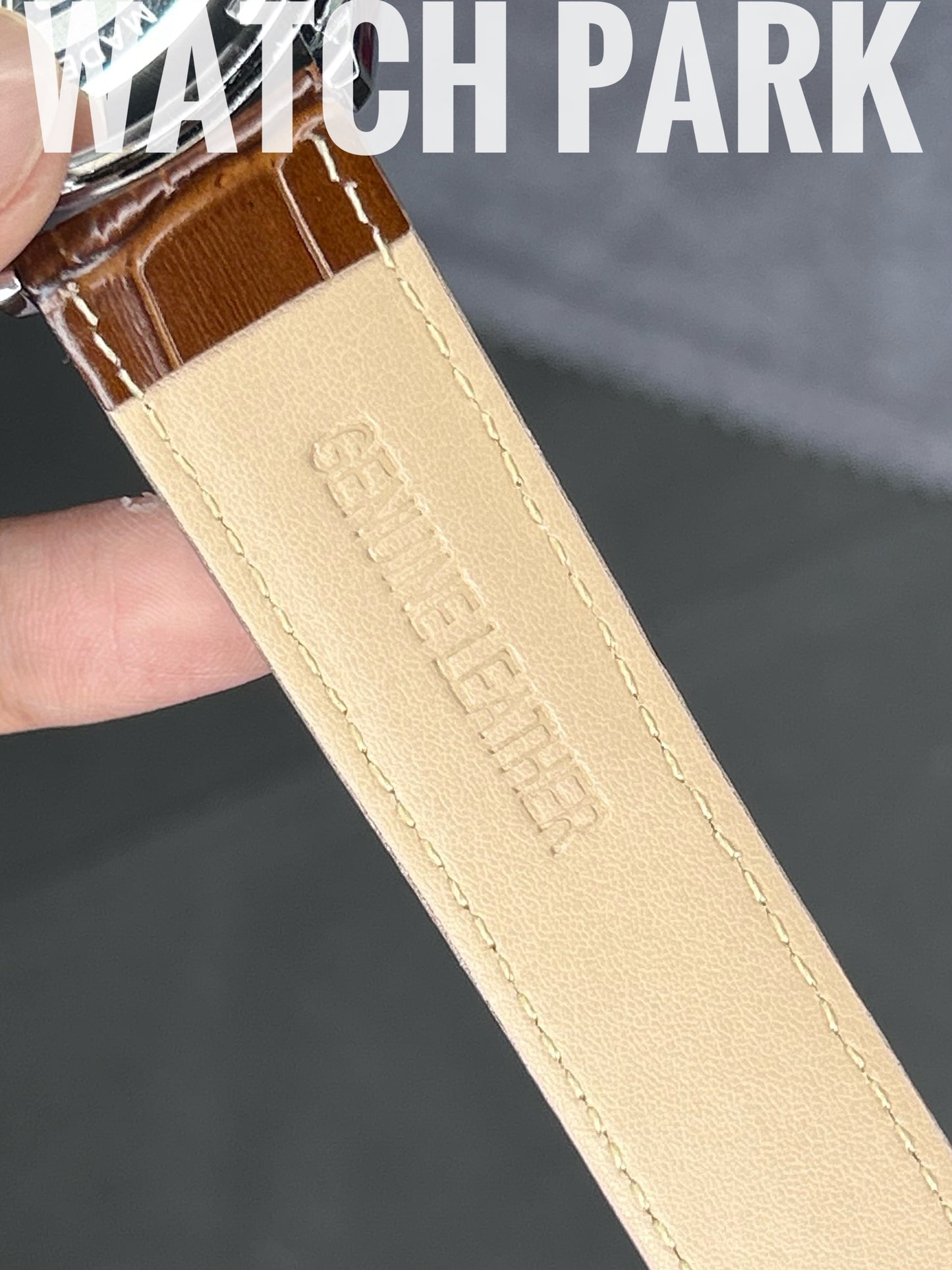 TAG Heuer Carrera - White with Silver - Brown belt