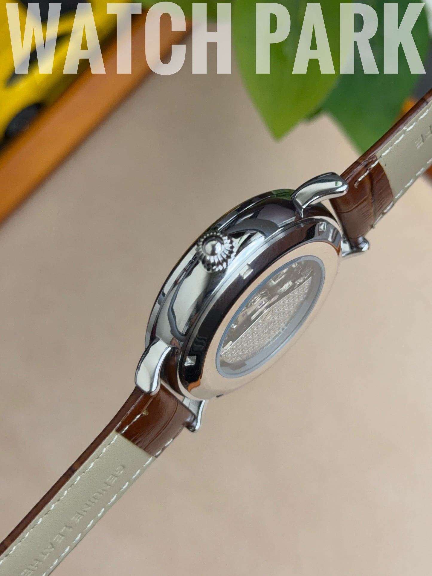 Patek - Skeleton - Brown edition & Silver - Brown belt - Automatic