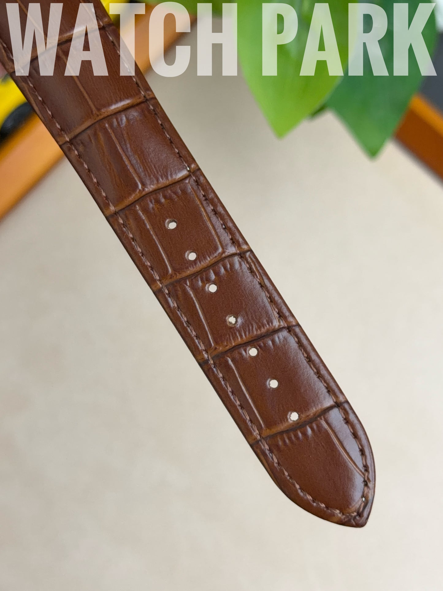 Patek - Skeleton - Brown edition & Silver - Brown belt - Automatic