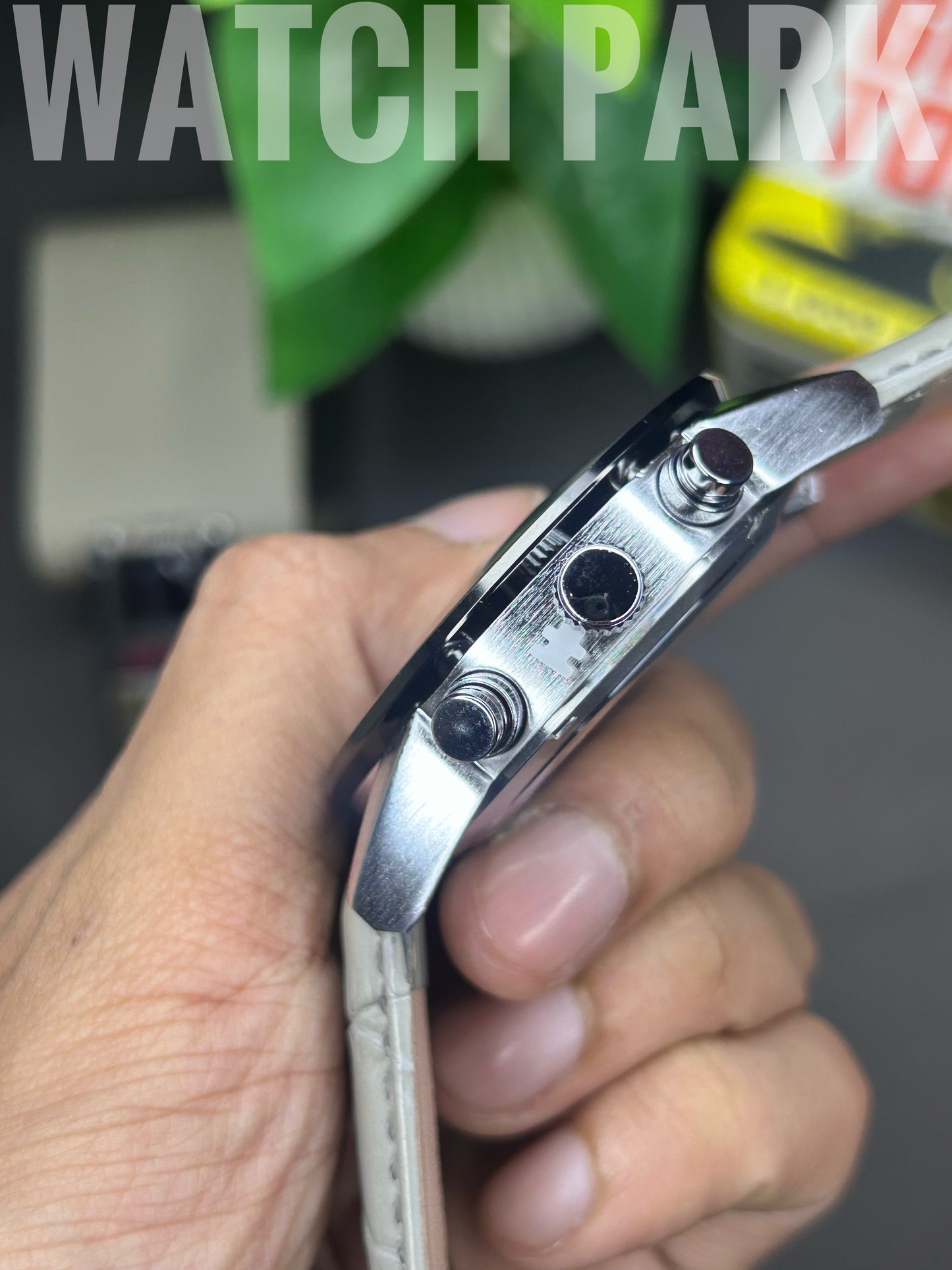 TAG Heuer Carrera Chronograph - Champagne dial - Light Grey belt