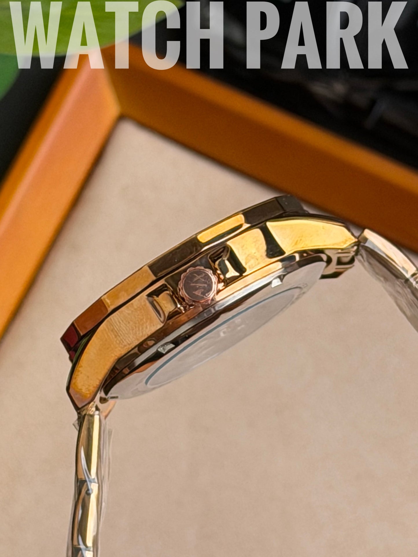 A/X - Automatic Skeleton - Black edition - Gold chain