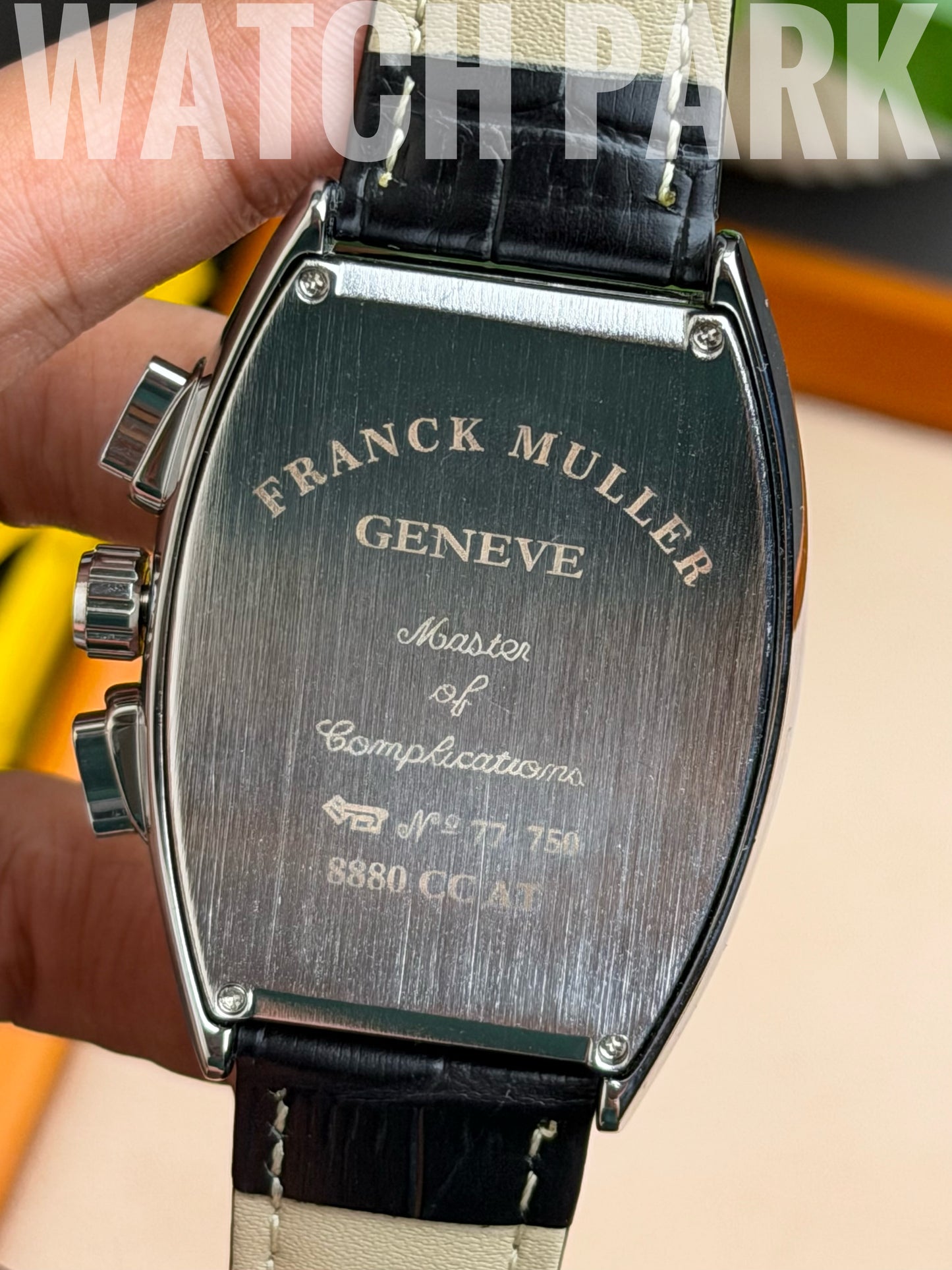 Franck Muller - White edition - Black belt - Automatic